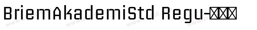 BriemAkademiStd Regu字体转换